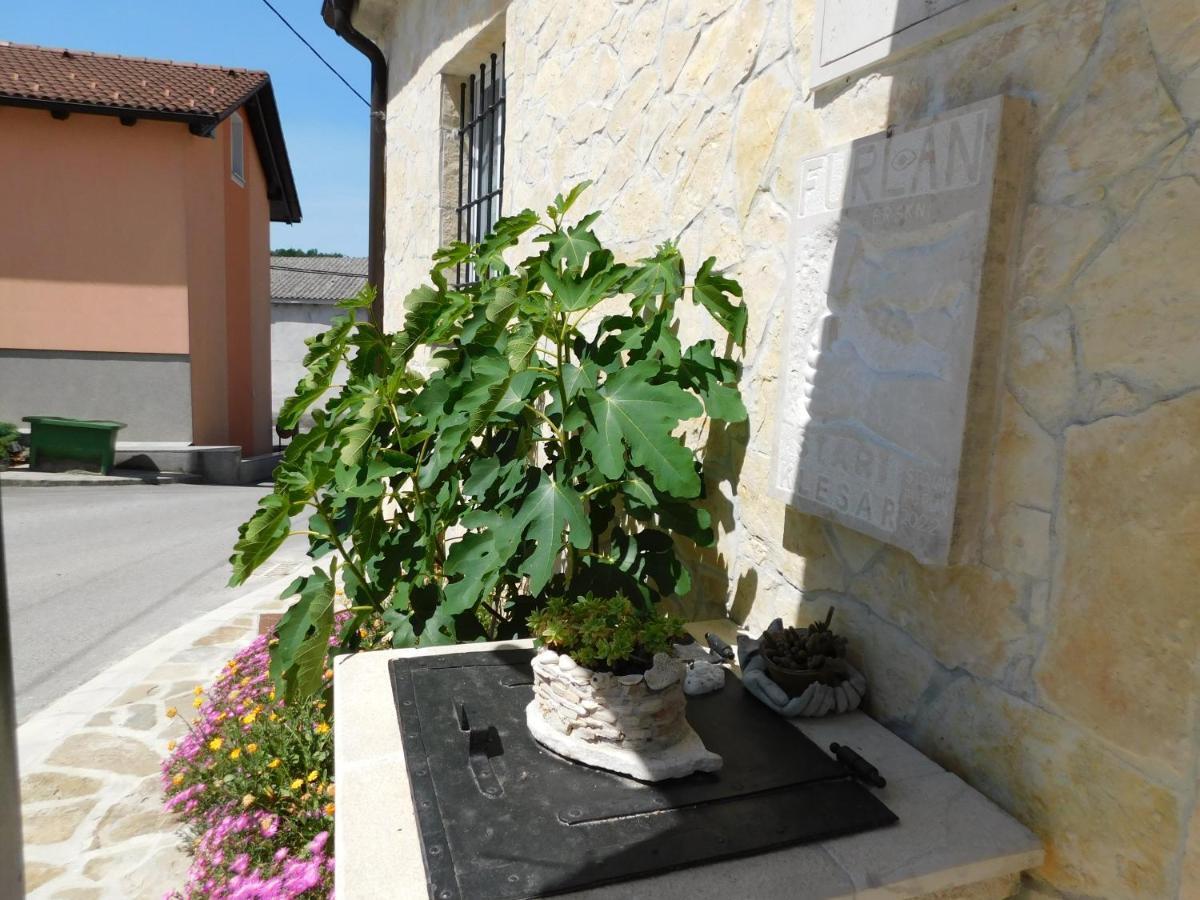 Kamnita Hisa Stari Klesar Villa Ilirska Bistrica Ngoại thất bức ảnh